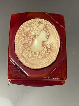 Vibrant Colors And Beautiful