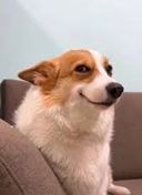 anthasqeeze
