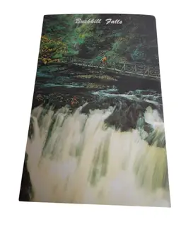 Vintage Postcard unposted Winona Five Falls Bushkill, PA 1960s Poconos people