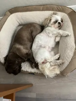 210vintagetimecapsulegg