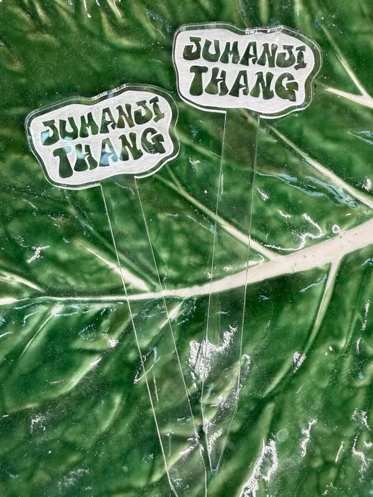 Prop Stations & Cuttings, Plant Accessories, Halloweeny Stuff, Crystals & More!l