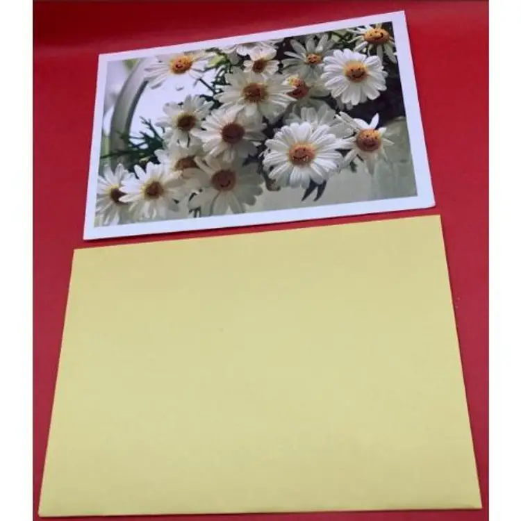 American Greetings smiling Daisy Card Blank Inside &Yellow Envelope