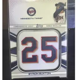 Byron Buxton “25” Patch