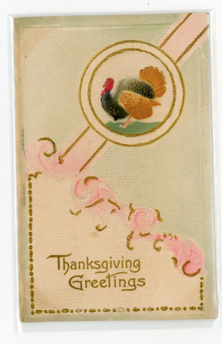 Postcard Airbrushed Thanksgiving Greetings Embossed Turkey c1910 - 20829