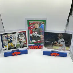 Tom Brady Lot
