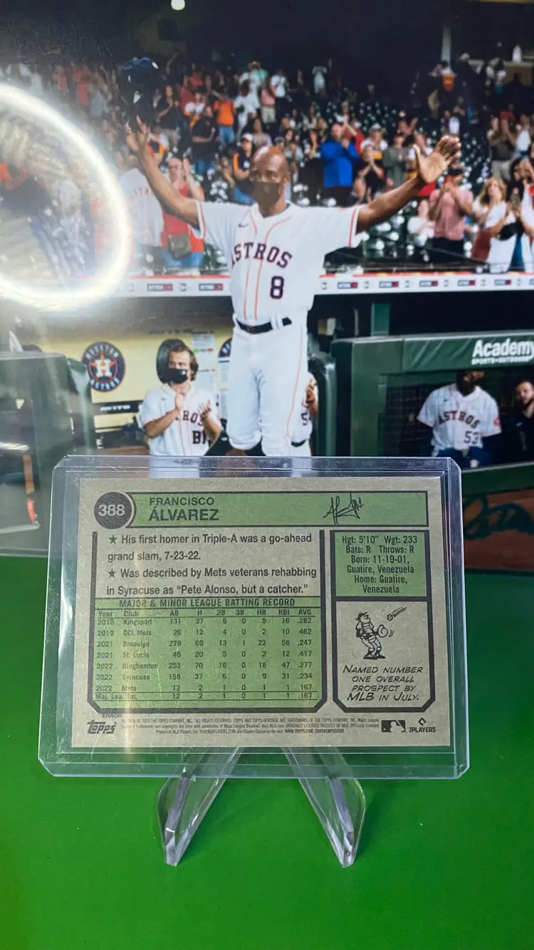 Francisco Alvarez Error Image Variation