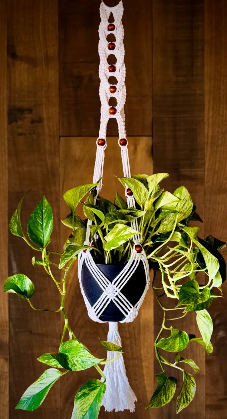 Handmade Macrame Plant Hanger
