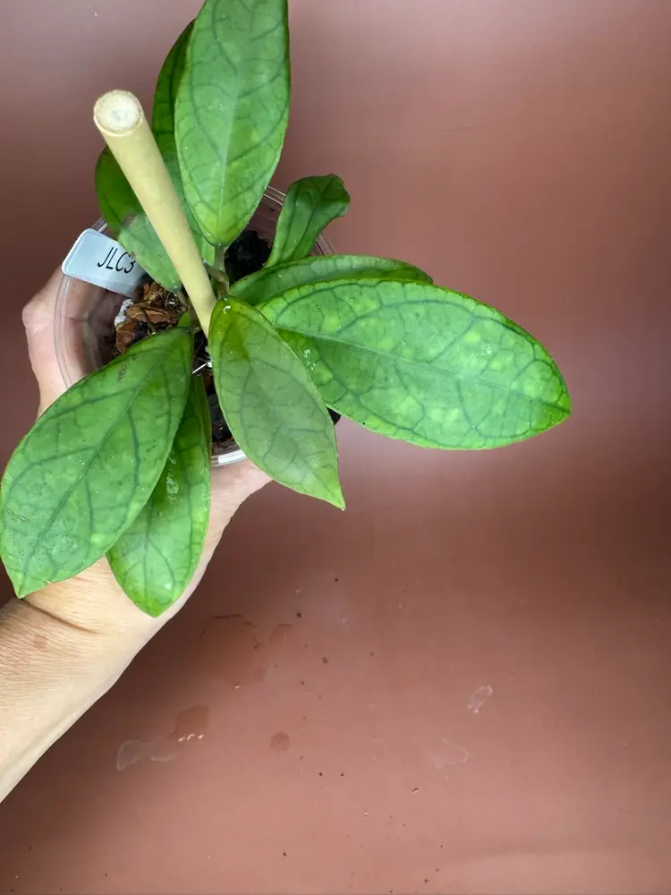 #3678 April OP
RHM25139