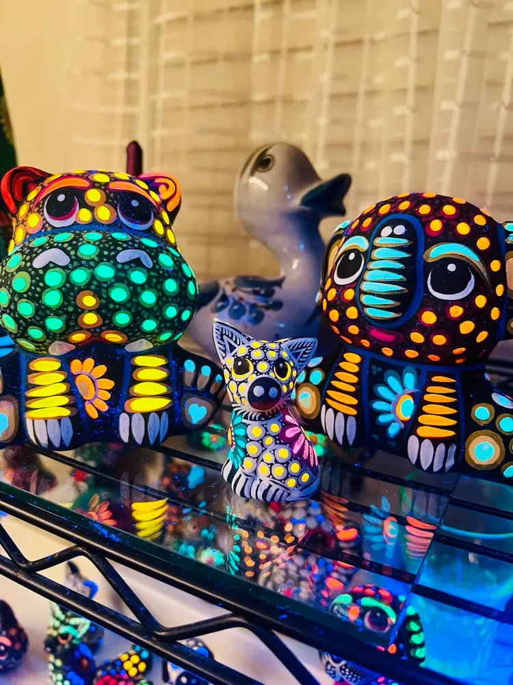 🦋🌸glowing Night Continues 