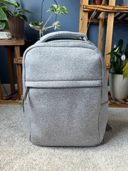 DSW Small Backpack