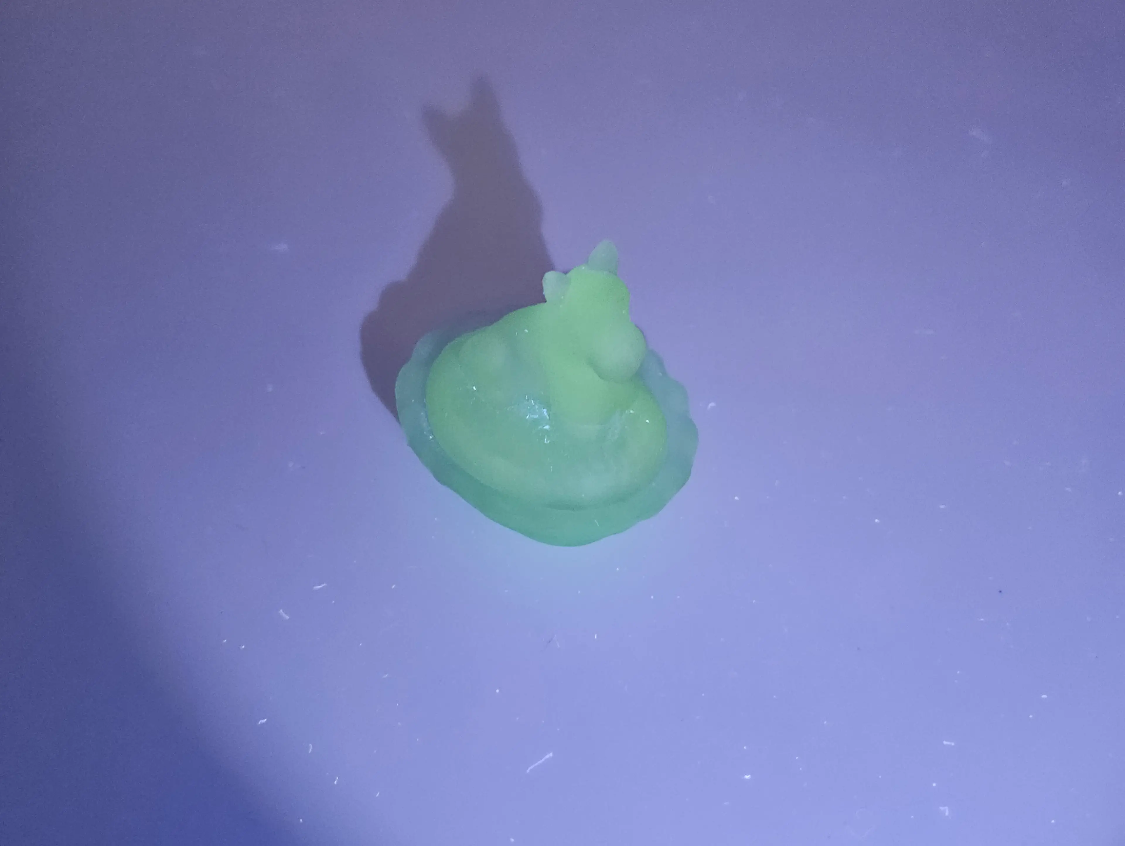 Image 5 of 5