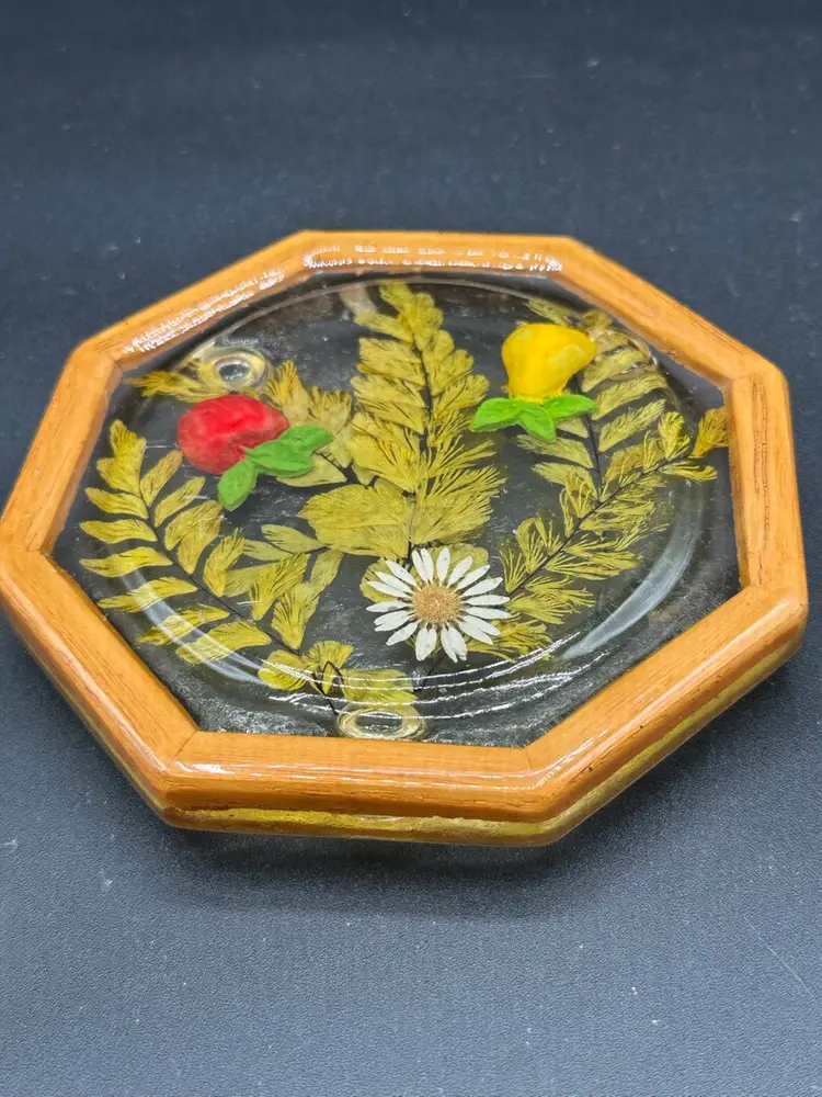 VTG 1970's Lucite/Resin Trivet Hot Pad Pressed Dried Flowers Frame Octagon