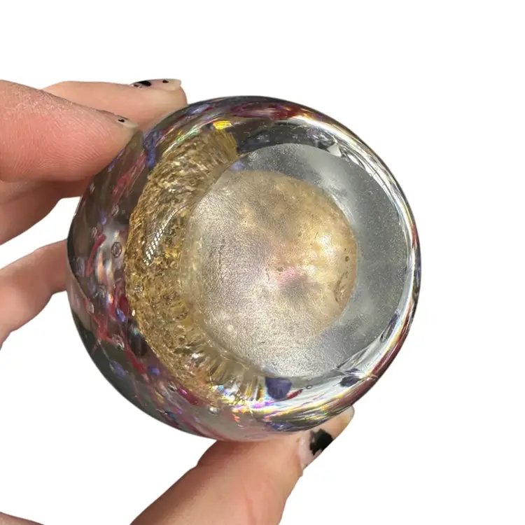 Sea Anemone Glass Paperweight