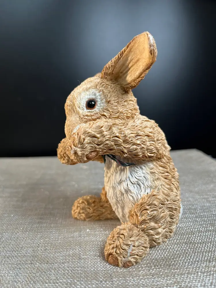 Bobtails Paw Prints-Very Realistic Textured Tan & White Bunny