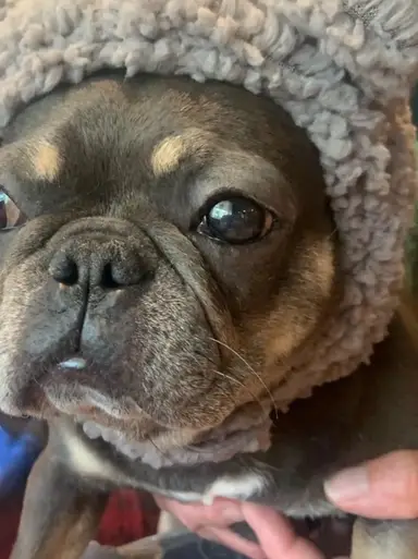 Lulu Says It's Cold!! Stay In And Shop!!!๐ฅ๐ฅ๐ฅ๐ฅ