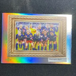 Washington Spirit Parkside Paramount Majesty Insert - 193/250 - Women’s Soccer