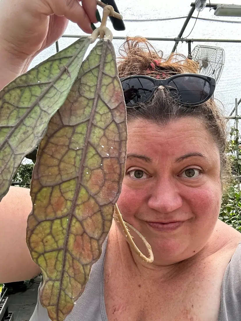 Livestream thumbnail