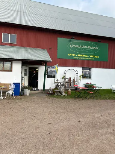 Shop With Me At Ljungagårdens Allehanda