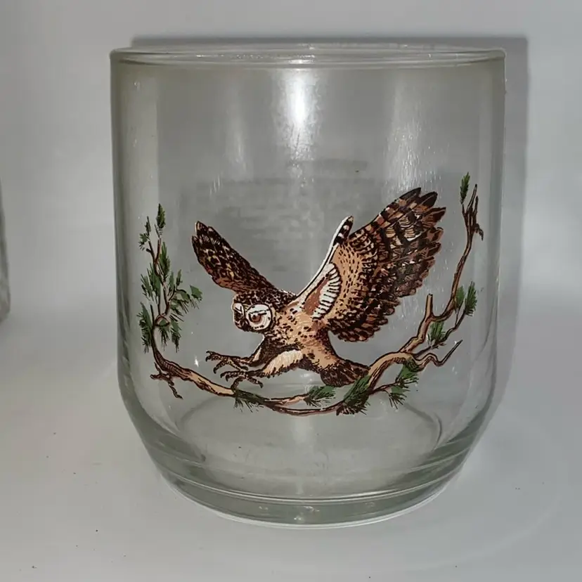 Vintage Libbey glass from the Sunoco North American Wildlife collection, featuring a spotted owl illustration