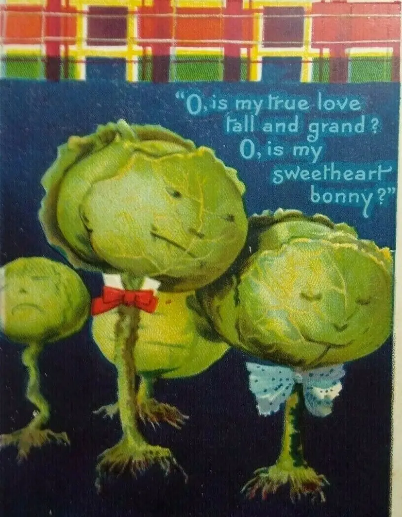 Halloween Postcard Ellen Clapsaddle Humanized Anthropomorphic Creatures Fantasy