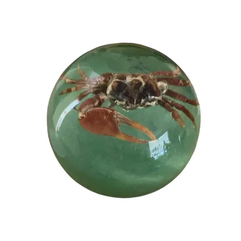 Vintage Lucite Taxidermy Fiddler Crab Paperweight 2.5” UV Glow