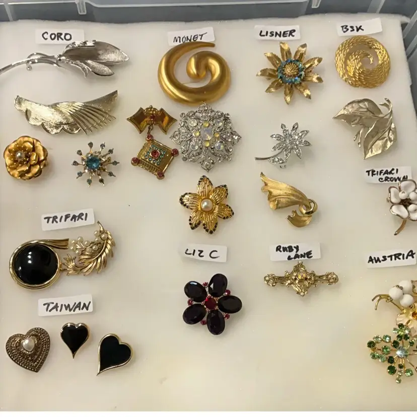 Choice Designer Brooches