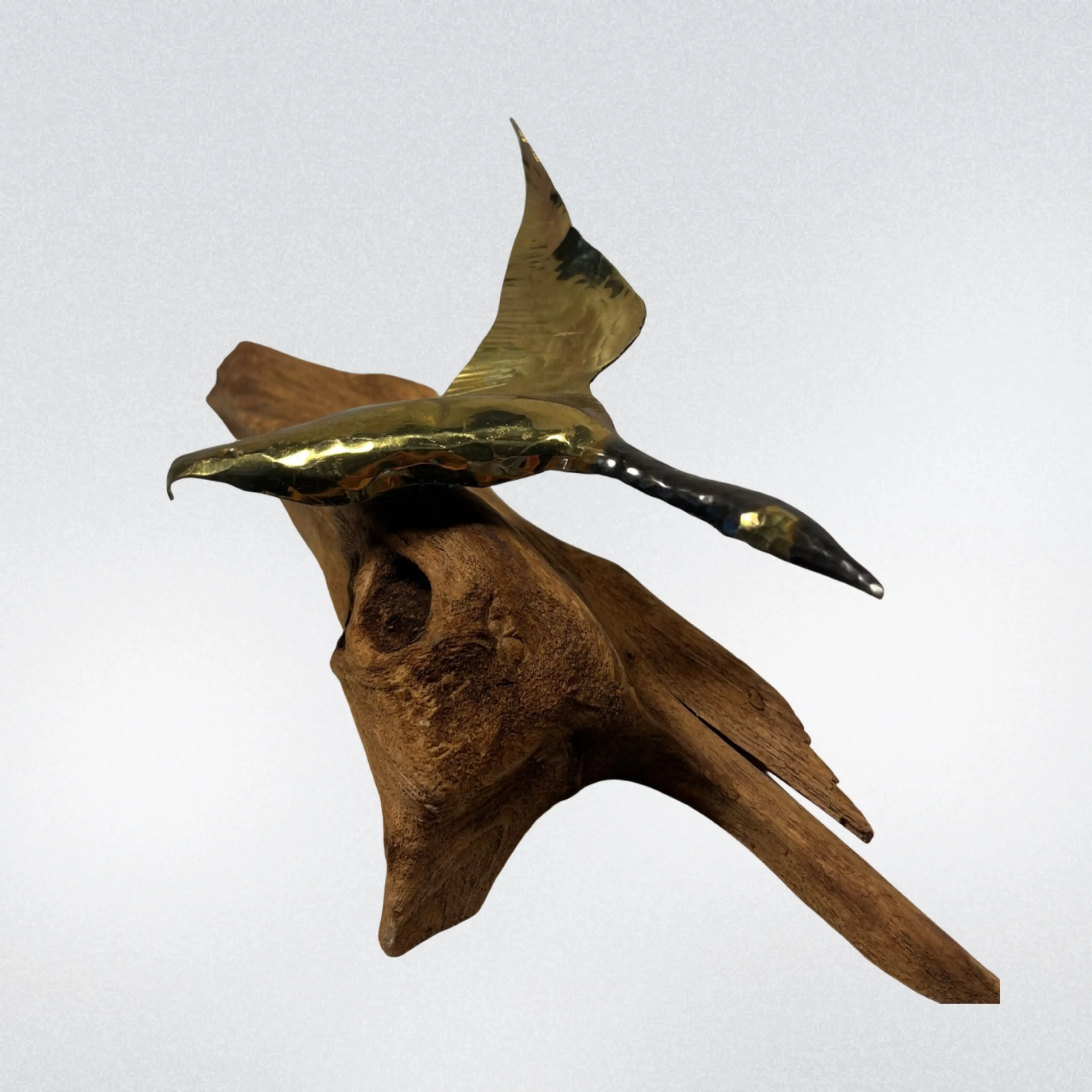 Image 2 of 11