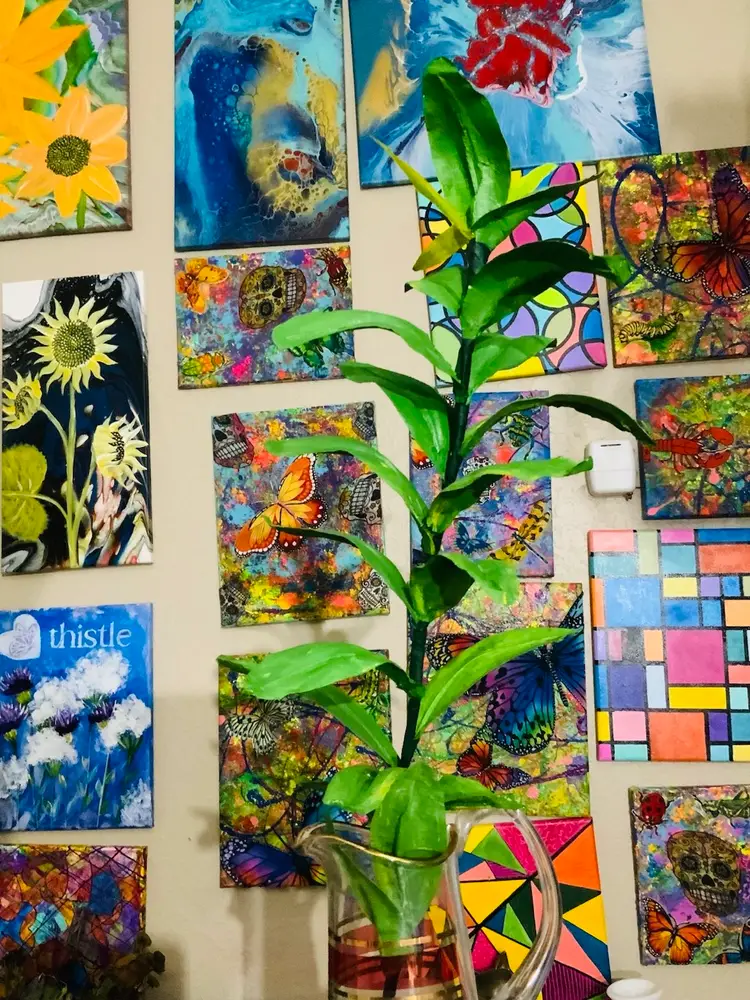 Loosey-Goosey Bird 🦅 Unboxing $5 Starts Pop Up All Birds 🦅 