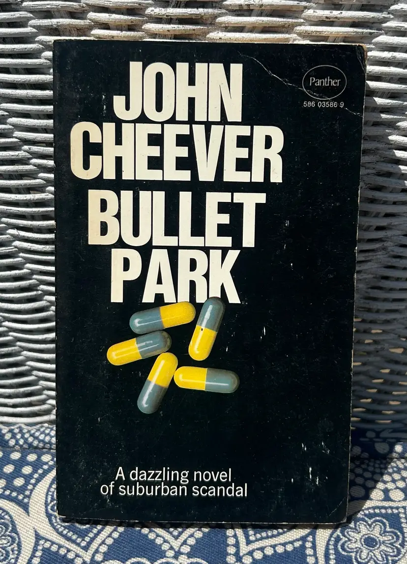 Vintage 'Bullet Park' By John Cheever Paperback Book 1972 Panther