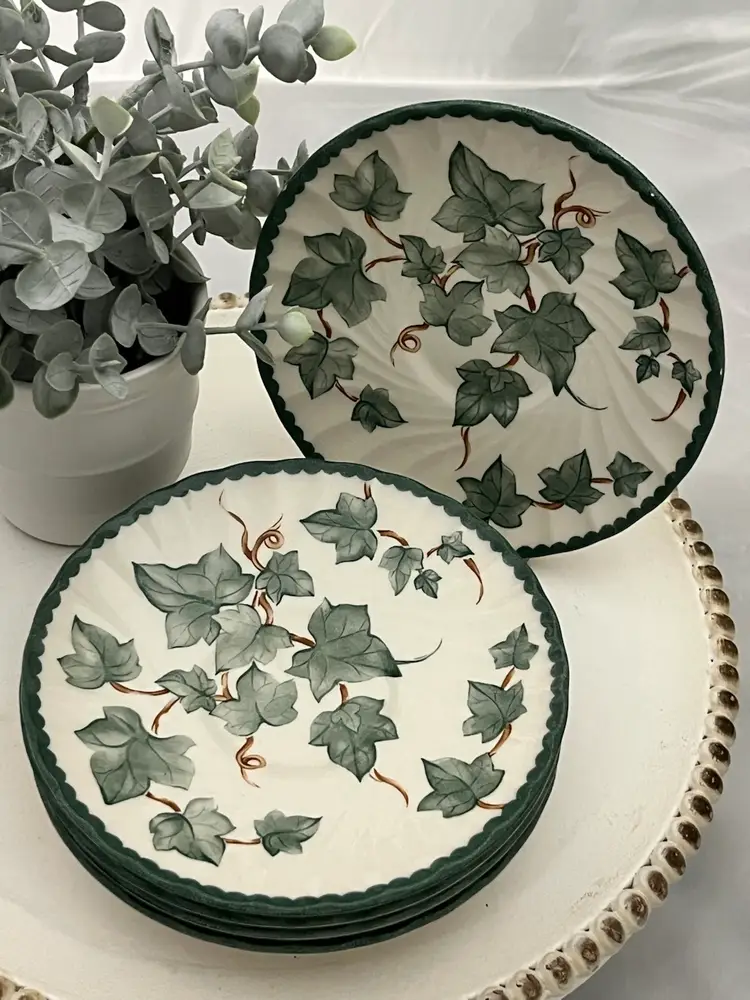 Royal Stafford Fine Earthenware Country Vine Pattern Saucer  Plates SET/6