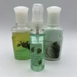Set Bath & Body Work Juniper Breeze Gift Set Shower Gel Body Splash Lotion 4 oz