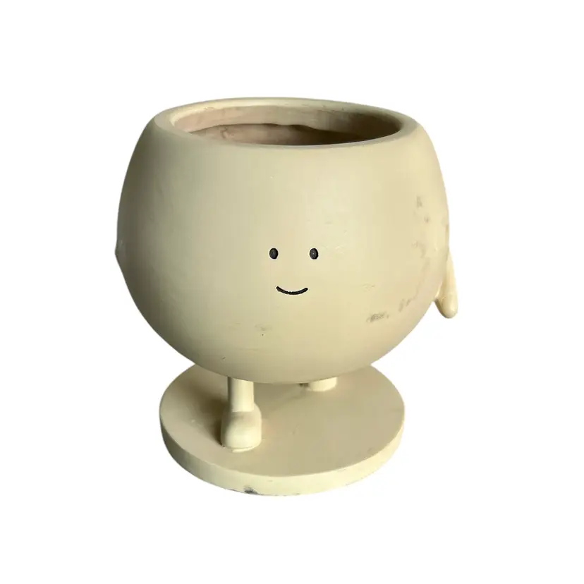 Derpy Faced Resin Flower Pot with Drainage Hole