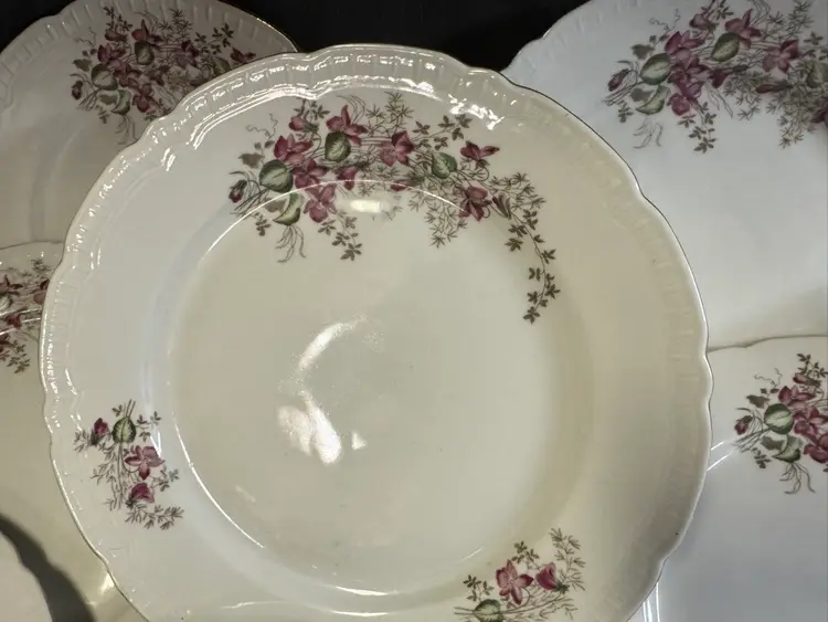 Vintage Set/10 Gebruder Benedikt Wild Flower Porcelain Dinner Plates Czech EUC