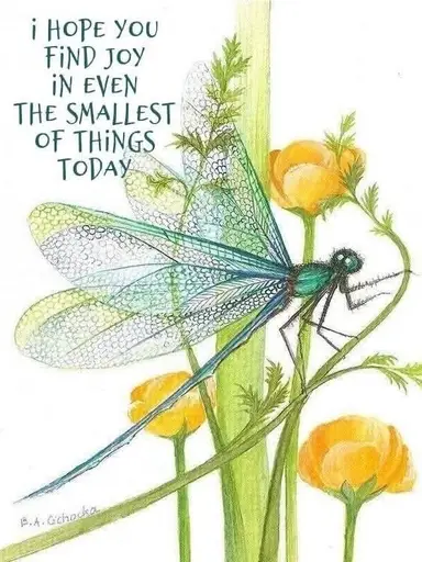 Rise And Shine Jewelry Playtime With Adored