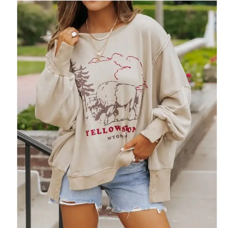 WE THE FREE GRAPHIC CAMDEN PULLOVER