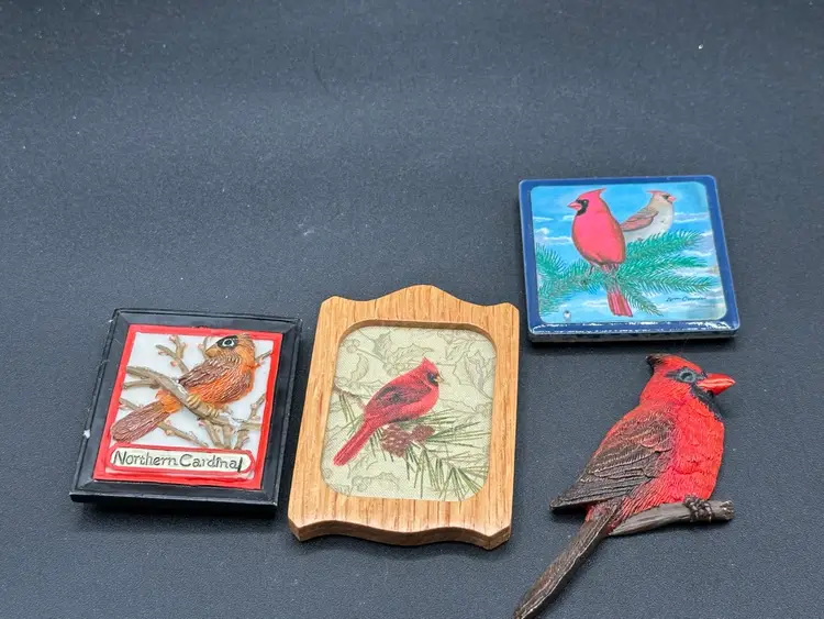 Lot Of 4 Cardinal Magnets