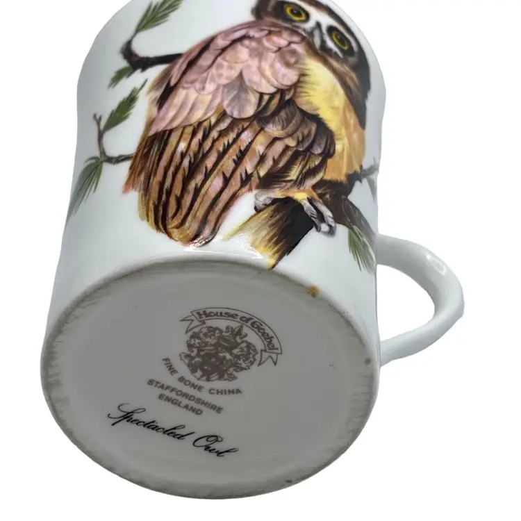 House Of Goebel Spectacled Owl Fine Bone China Coffee Mug