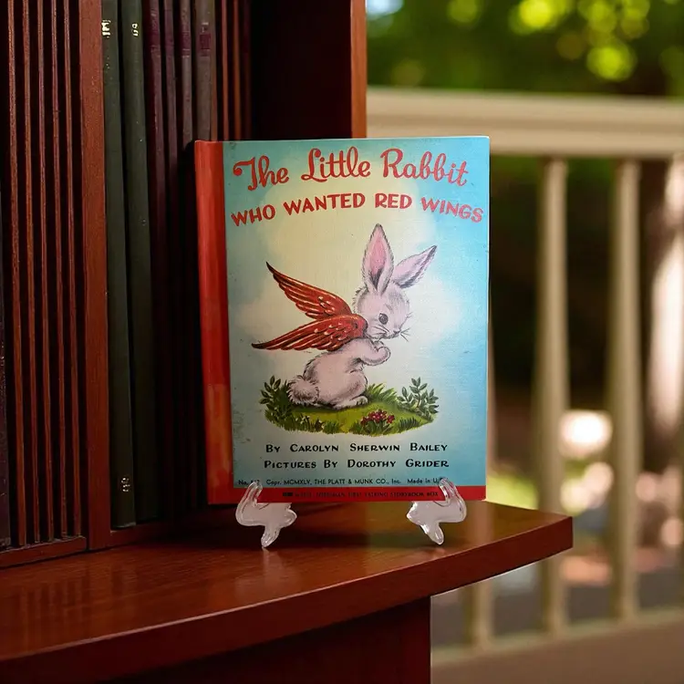The Little Rabbit Who Wanted Red Wings Book