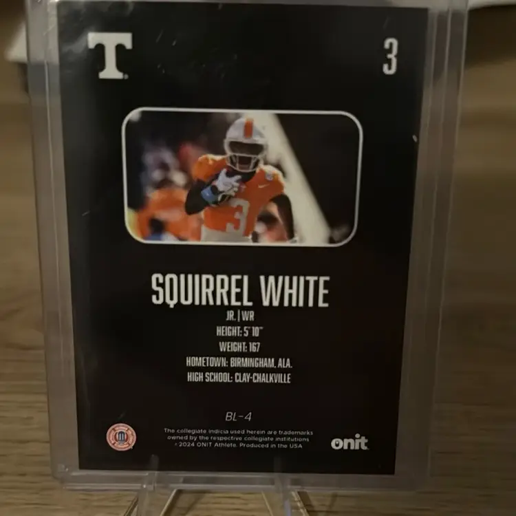 Squirrel White Blackout Edition From Onit