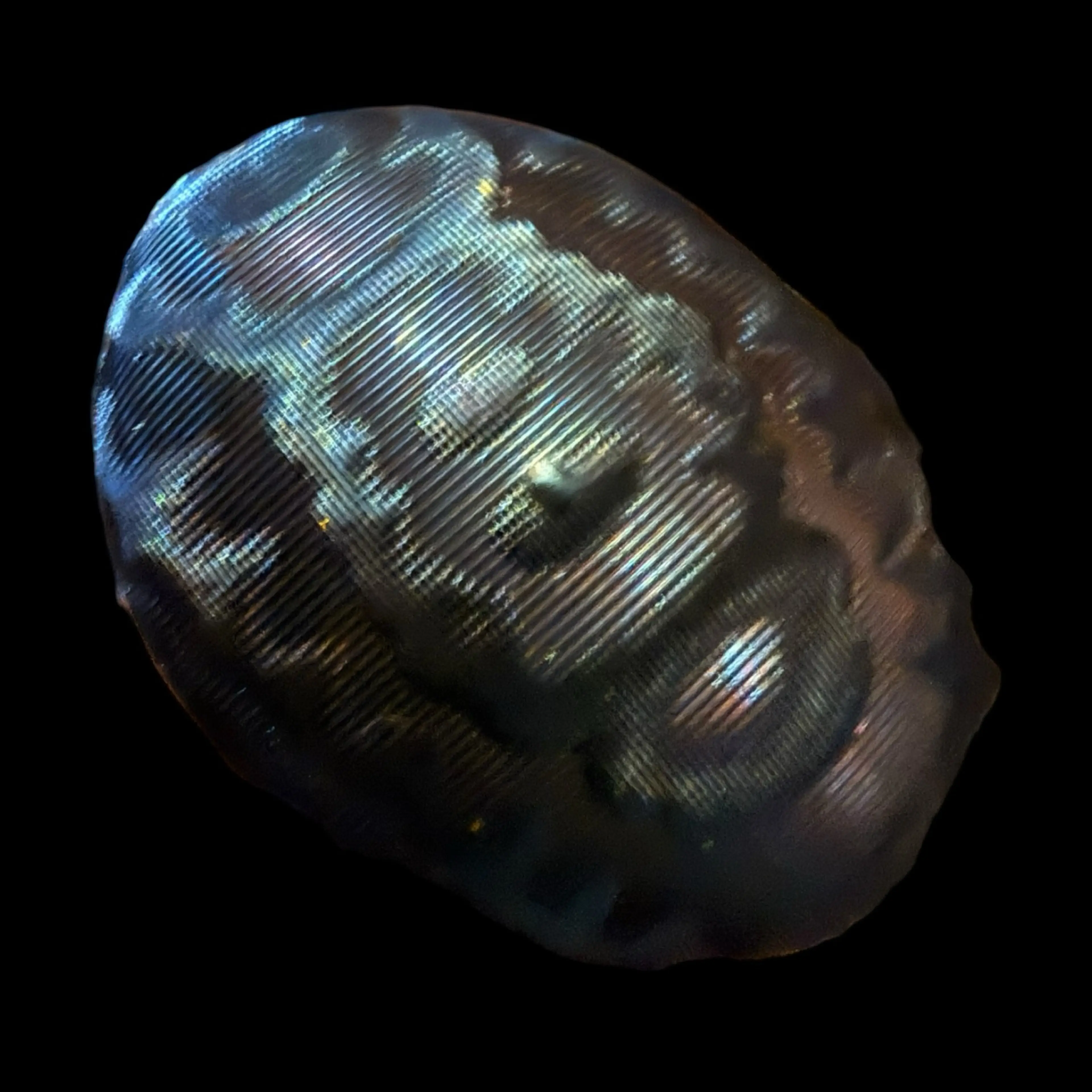 Image 2 of 3