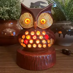 Vintage 1970’s Glazed Ceramic Light Up Owl Bird Retro Funky Night Light Lamp