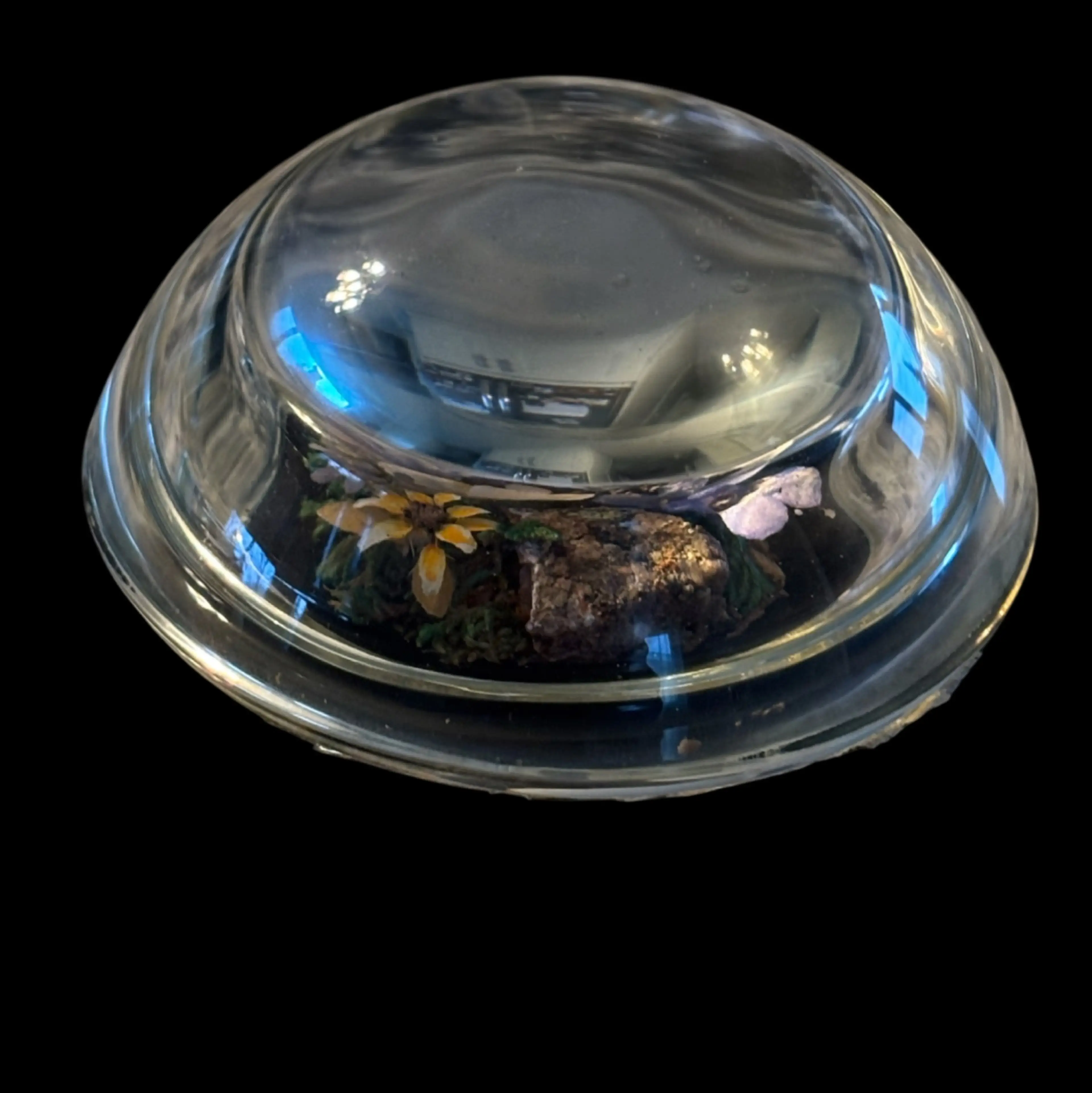 Image 3 of 5