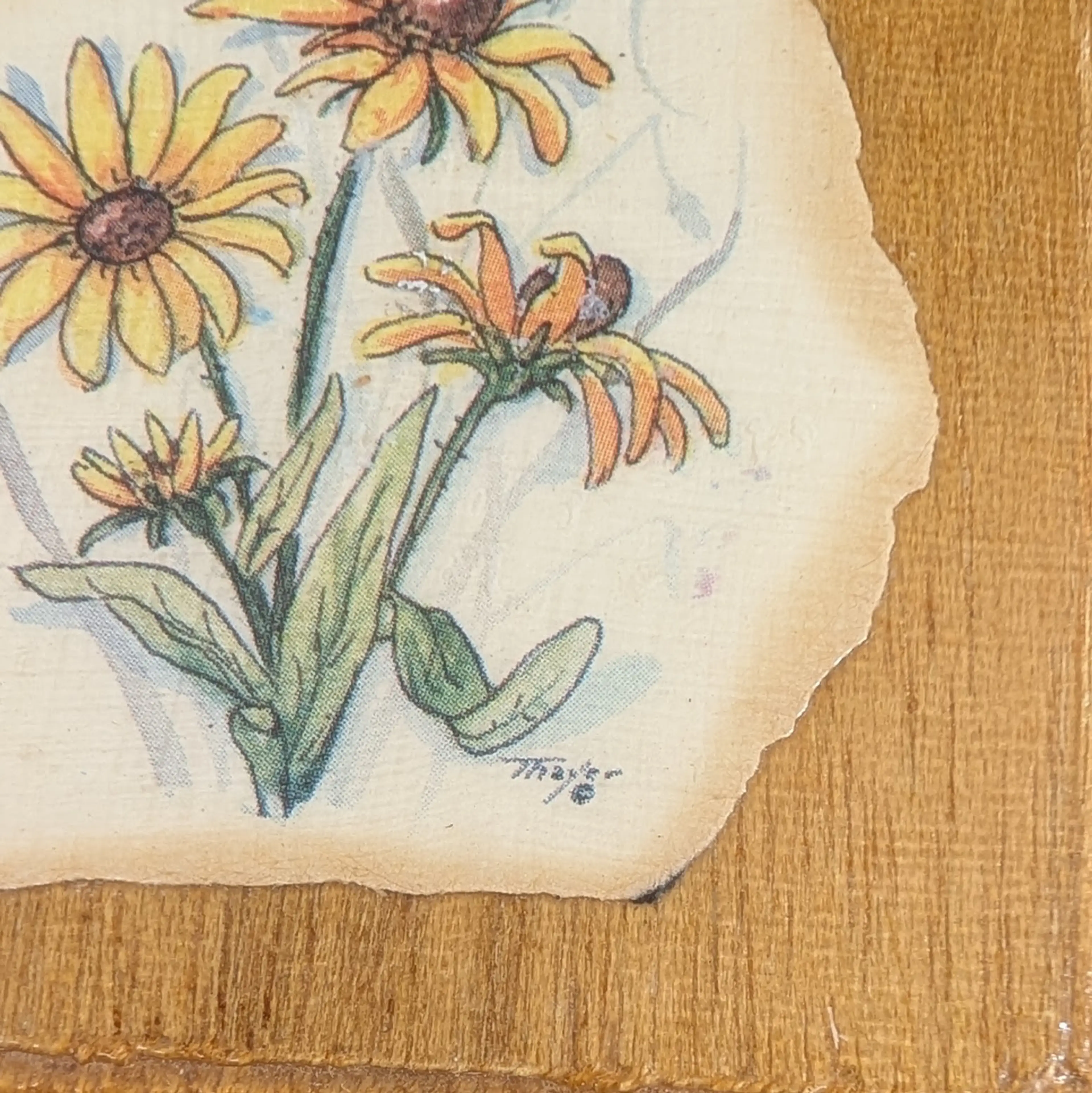 Image 3 of 7