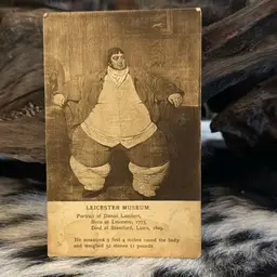 Antique Oddity Post Card Free Shipping