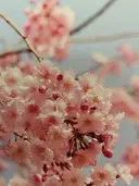 NancysVintagetreasures