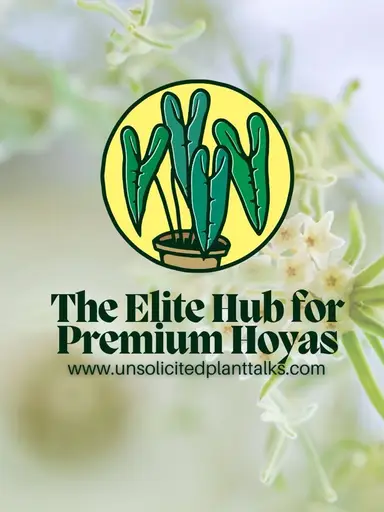 End Of Year Live. We Survived It!