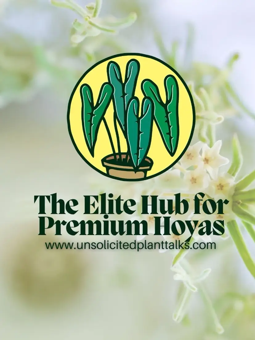 Livestream thumbnail