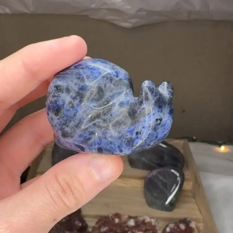 Sodalite Snail