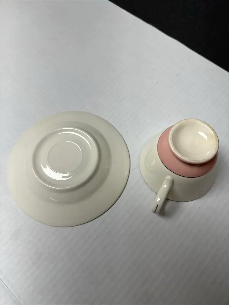 Homer Laughlin Footed Tea cup And Saucer Barclay Cavelier Eggshell And Pink