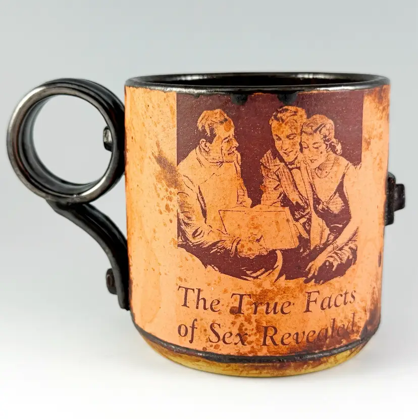 Steve Hansen Ceramics Stoneware Mug, True Facts of S*x Revealed, Handmade Studio Pottery